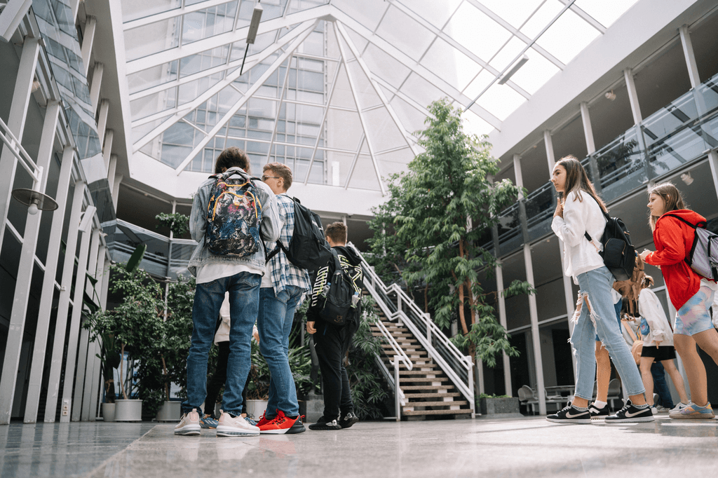 Перевод в другой университет: профессиональная поддержка для студентов